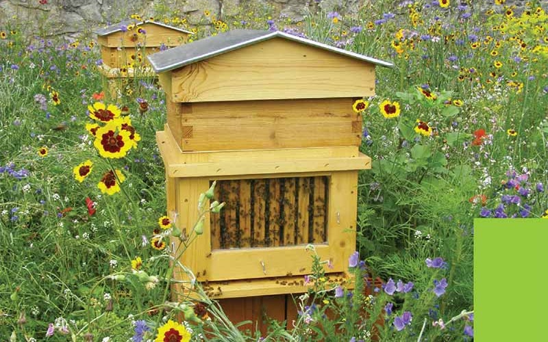 Le jardin protecteur des abeilles