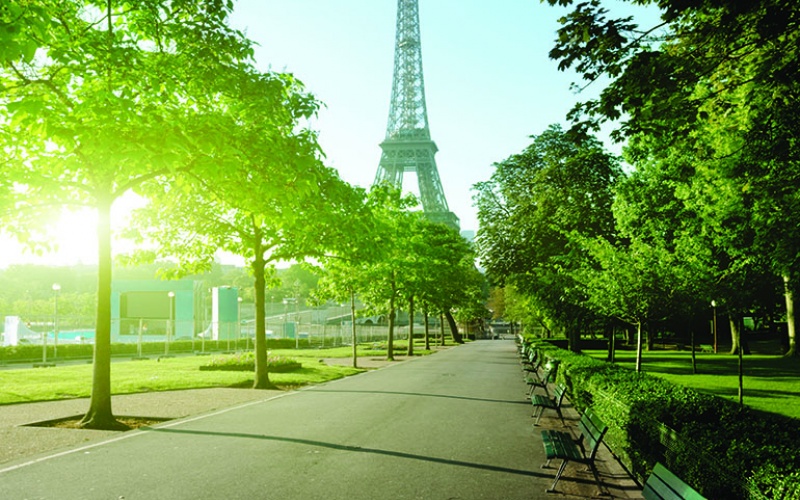 Paris : Jardins et parcs sans tabacs : la capitale ne veut plus tousser