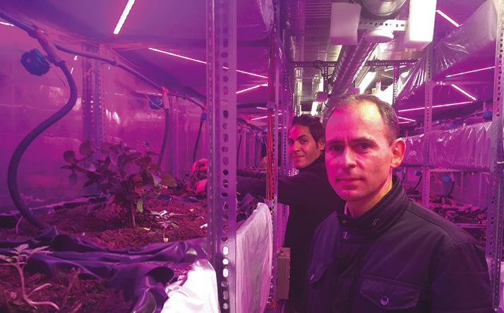 Produire des fruits et légumes dans un container autonome