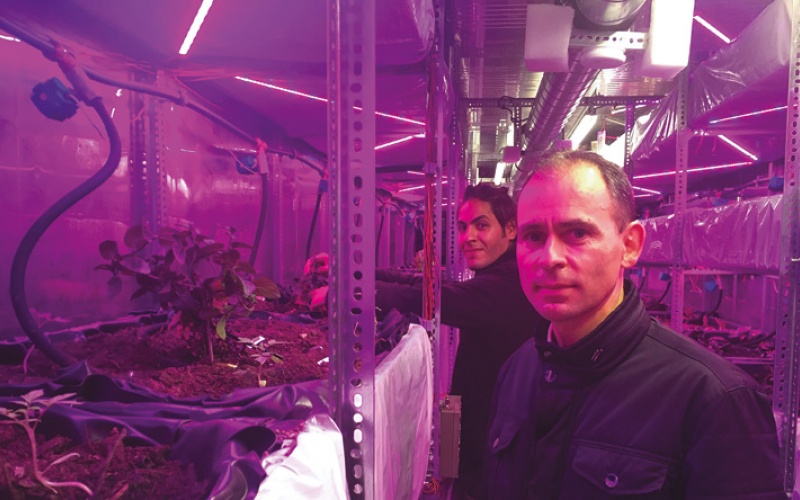 Produire des fruits et légumes dans un container autonome