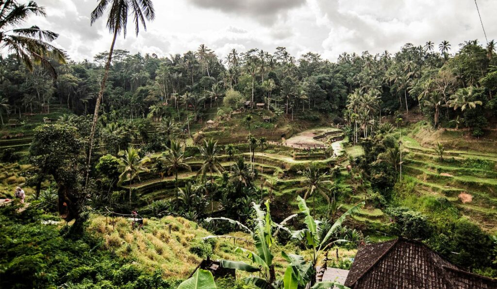 bali retraite