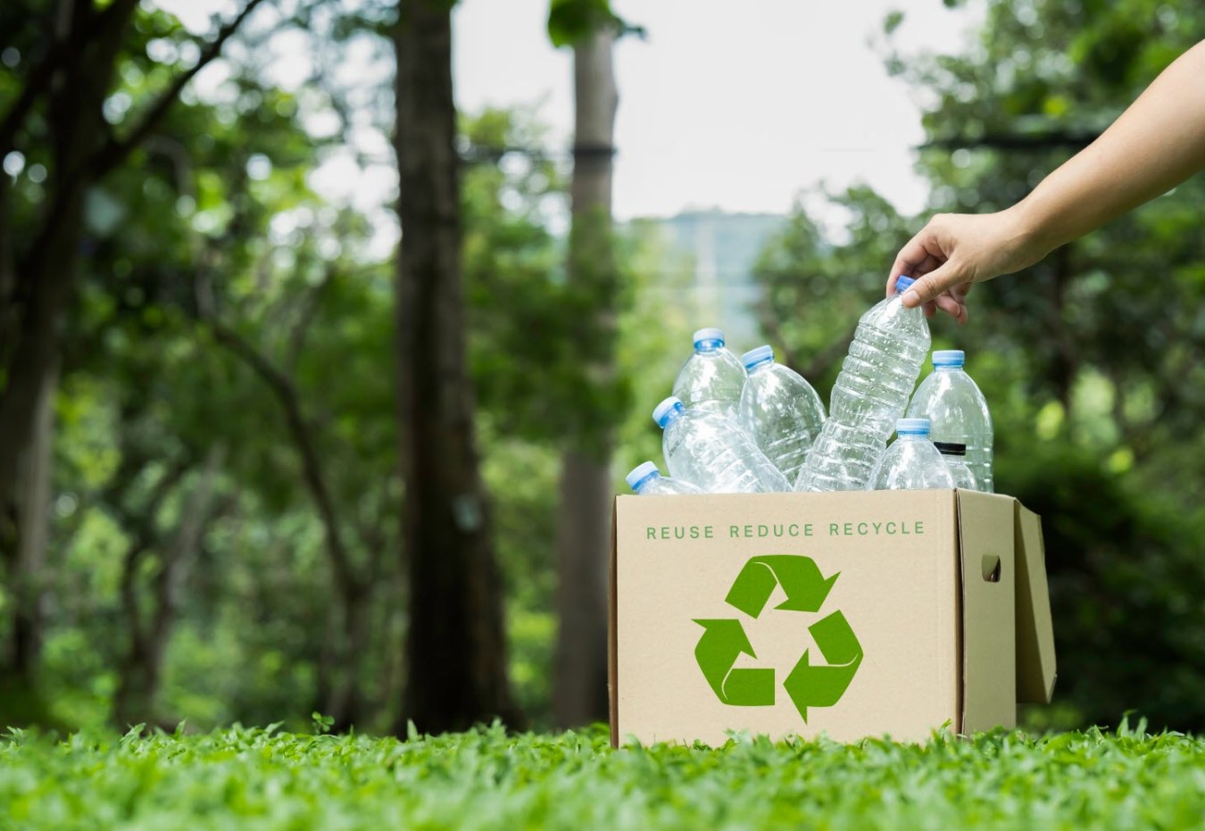 recyclage bouteille plastique tarif