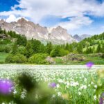 Featured image placeholder 16:9