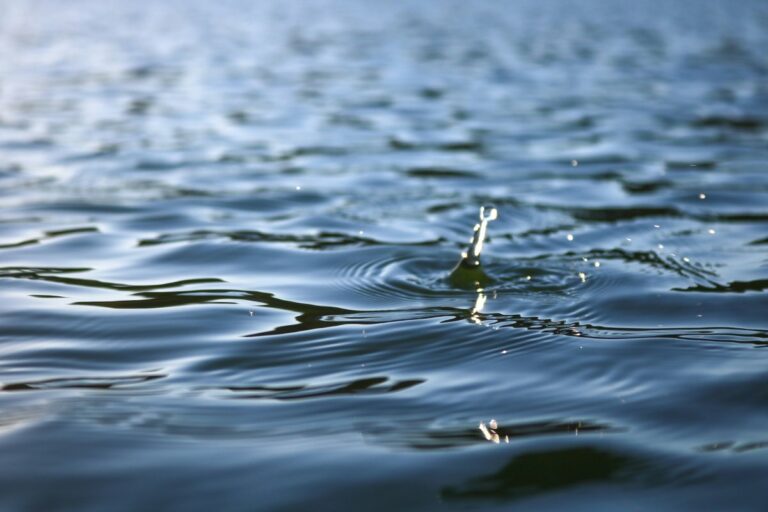 5 gestes écologiques