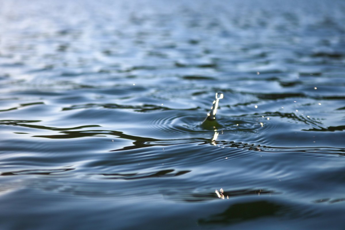 5 gestes écologiques